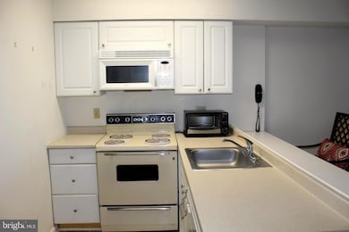 104 127th St unit 223, Ocean City, MD 21842 - photo 4