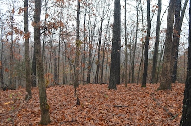 000 Logan Ridge Rd, Ozark, MO 65721 - photo 5