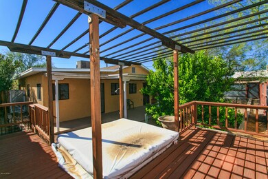 back yard 1.jpg