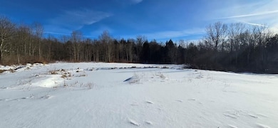 45 Kronus Rd, Erin, NY 14838 - photo 7