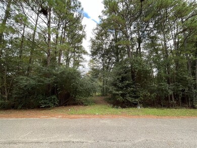 29714 Sweetwater St, Magnolia, TX 77354 - photo 3