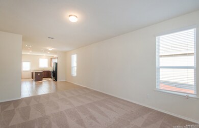 10338 McQueeney, San Antonio, TX 78252 - photo 7