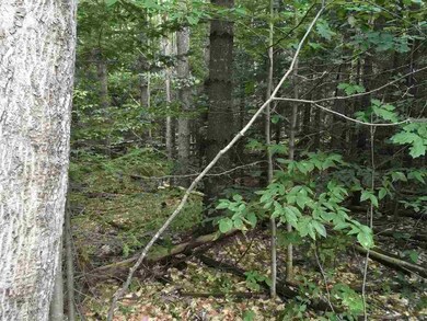 0 Jones Rd unit 4655497, Effingham, NH 03882 - photo 5