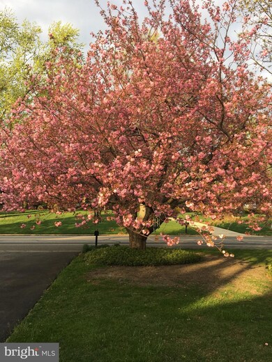 13 Bodo Otto Dr, Mickleton, NJ 08056 - photo 5