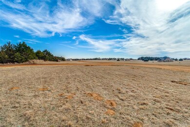Lot 5 Lost Tree Ct, Gordonville, TX 76245 - photo 6
