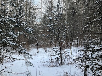 00 Curncross Rd, Smyrna, NY 13464 - photo 6