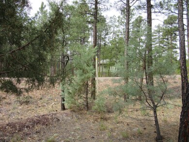 1701 S Bristle Cone Dr, Show Low, AZ 85901 - photo 7