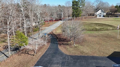145 Lynns Dam Rd, Union Grove, AL 35175 - photo 3