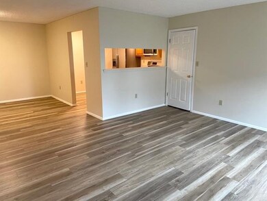 149 Cherry St, Jersey City, NJ 07305 - photo 6