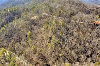 3-web-or-mls-DJI_0117