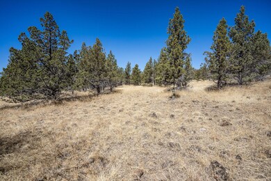 2024_08_28_12330_juniper_canyon_rd_pv_lo