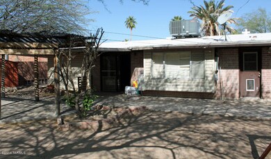 back-yard
