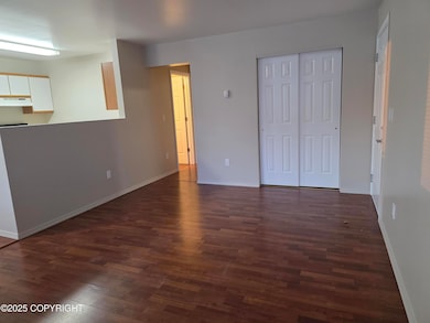 Livingroom with Closet at Front Door
