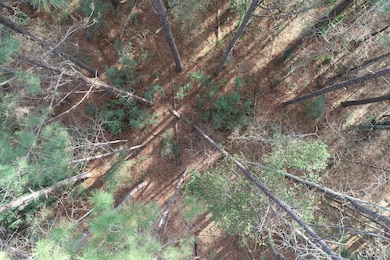DJI_0653