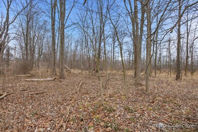 V/L 2528 Patterson Rd, Wayland, MI 49348 - photo 7