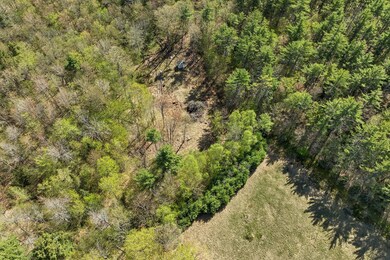 113 Federal Corner Rd, Tuftonboro, NH 03816 - photo 7