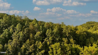 2359 Grassy Branch Rd, Sevierville, TN 37876 - photo 6