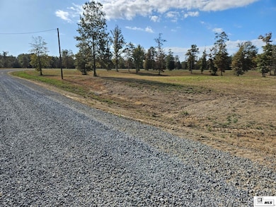 103 Caroline Ln, Monroe, LA 71203 - photo 3