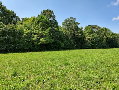 0 Sulphur Creek Rd unit RTC3041581, Big Sandy, TN 38221 - photo 4