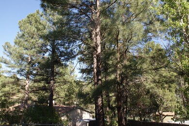 2311 W Willis, Show Low, AZ 85901 - photo 3