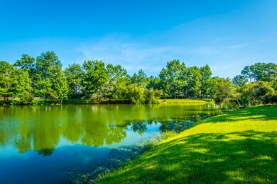 Pond