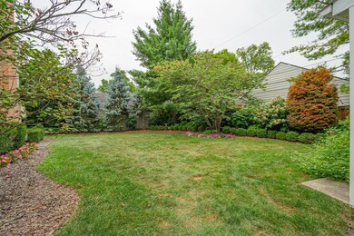Large Yard