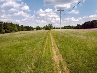 0 Sims Rd N of unit RTC2473286, Shelbyville, TN 37160 - photo 6