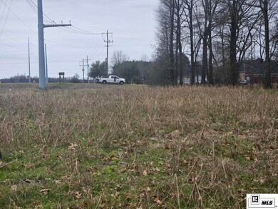 000 Hwy 165 S, Sterlington, LA 71280 - photo 5