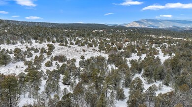 12 Moot Ct, Cedro, NM 87059 - photo 2