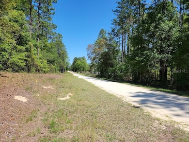 lot 5 SW 64th Ln, Ocala, FL 34481 - photo 2