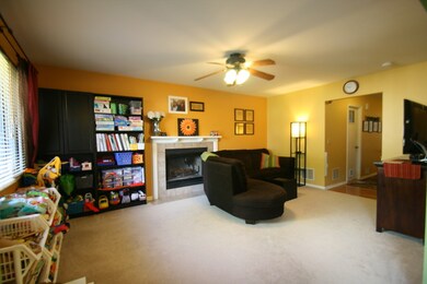 217 S Madison St unit 217, Oswego, IL 60543 - photo 6