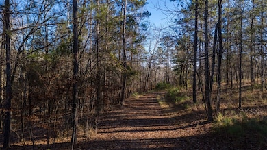 8806 River Rd, Columbus, GA 31904 - photo 4