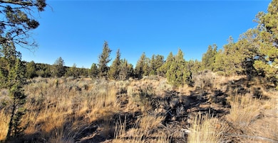 2330 SE Texas Cir, Prineville, OR 97754 - photo 2