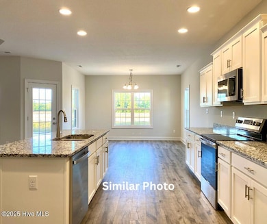 207 Windsor Run Blvd, Jacksonville, NC 28546 - photo 7