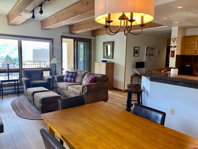 11 Snowmass Rd unit 532, Mt. Crested Butte, CO 81225 - photo 4