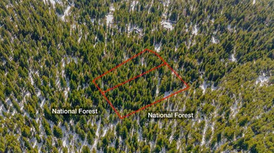 0 Royce Pine Rd unit Lot 1 220208434, Crescent Lake, OR 97733 - photo 6