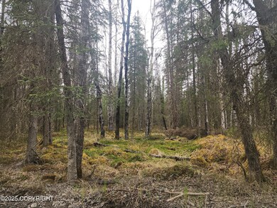 Tract K Byington Rd, Kasilof, AK 99610 - photo 3