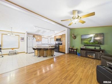 13014 Kirby St, Tallula, IL 62688 - photo 4