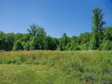 1063 Firehouse Dr, Louisa, VA 23093 - photo 5