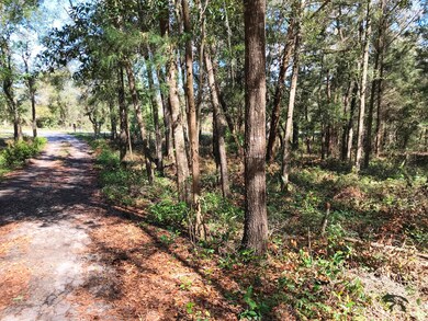 DRIVE AND FRONT YARD