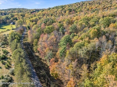 1689 Cork Hill Rd, Brackney, PA 18812 - photo 7