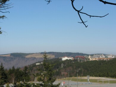 snowcrest112aview
