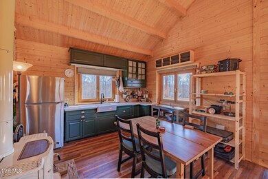 642 Copper Ridge Rd, Eidson, TN 37731 - photo 5