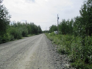 2728 S Walnut Wood Dr, Big Lake, AK 99652 - photo 2