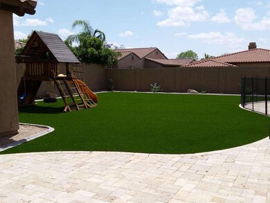 Backyard2