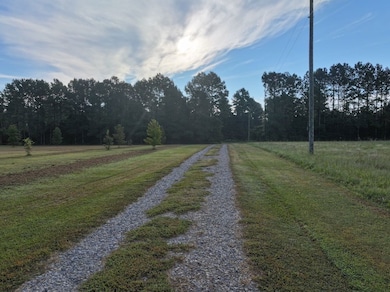 Shine Rd unit LotWP001, Snow Hill, NC 28580 - photo 6