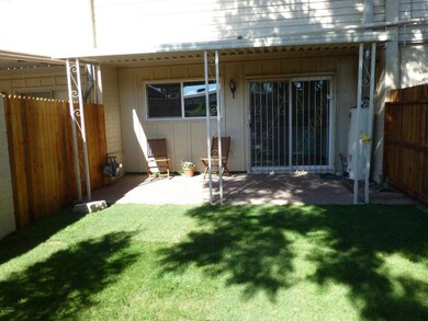 Back yard 2