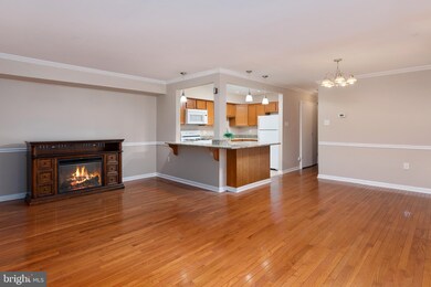 205 Victor Pkwy unit C, Annapolis, MD 21403 - photo 7