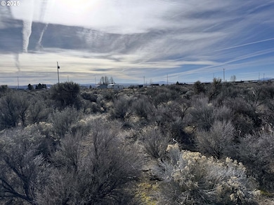 0 Aspen unit 20800, Christmasvalley, OR 97641 - photo 6