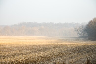 Lot 1 East St, Berlin Township, IL 61356 - photo 3